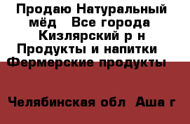 Продаю Натуральный мёд - Все города, Кизлярский р-н Продукты и напитки » Фермерские продукты   . Челябинская обл.,Аша г.